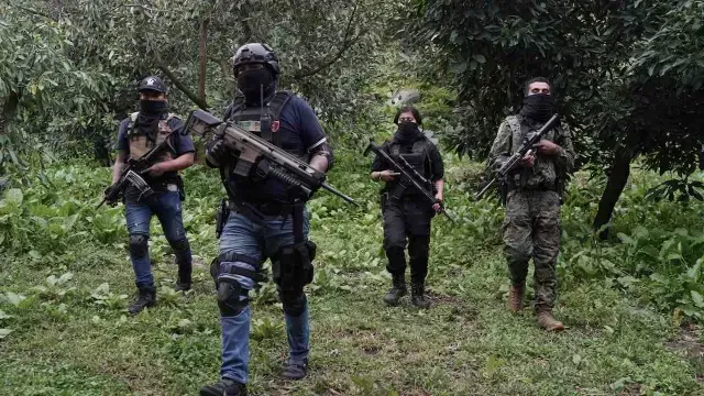 El Crimen Organizado Sería el Quinto Mayor Empleador en México, según ...