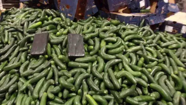 Detienen Conductores que Transportaban Droga en Camiones con Pepinos en Otay Mesa
