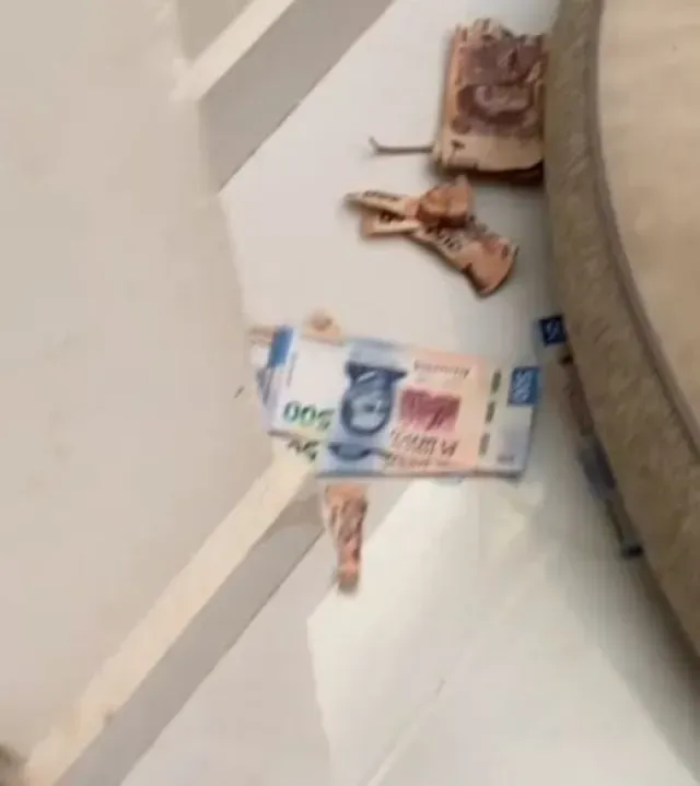 ¡La Travesura Más Cara! Perrito se Come 30 Mil pesos de su Dueña