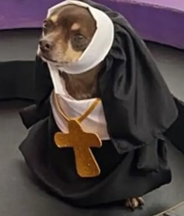 Perrita con disfraz de monja de la feria