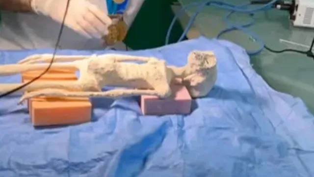Imagen mostrada de una de las ‘momias de Nazca’