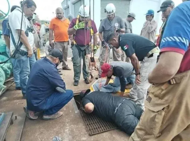 Cocodrilo atrapado en una tubería de Ciudad Victoria, Tamaulipas