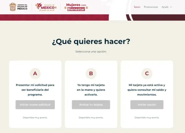 Detalle de las opciones en el sitio de Mujeres con Bienestar 2023