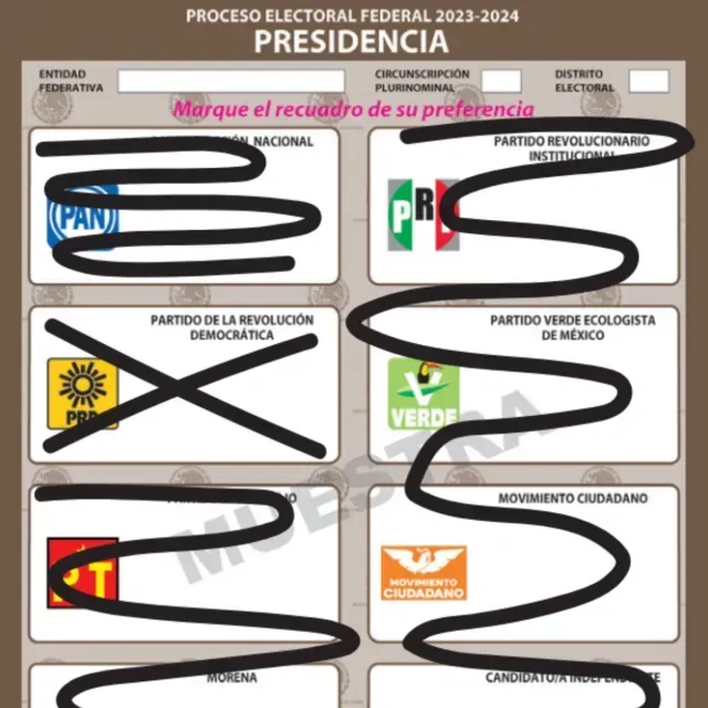 Cómo votar de forma correcta en las Elecciones 2024