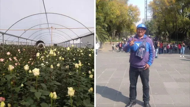 José Alberto Cazabal, a sus 37 años, tiene un campo de rosas blancas