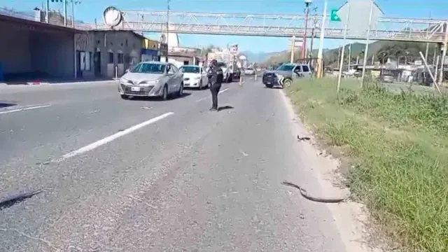 Al lugar acudieron elementos de Protección Civil, así como paramédicos