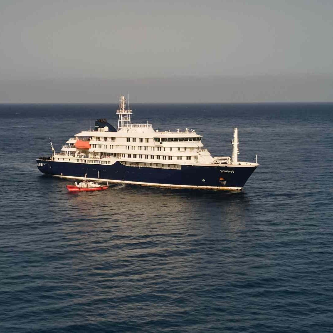 Brote Hantavirus: ¿A Qué Hora Llegará el Crucero MV Hondius? Foto: AP