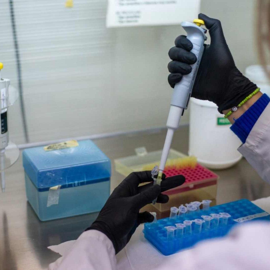 Canadá Confirma su Primer Caso de Hantavirus en 2026. Foto: AFP