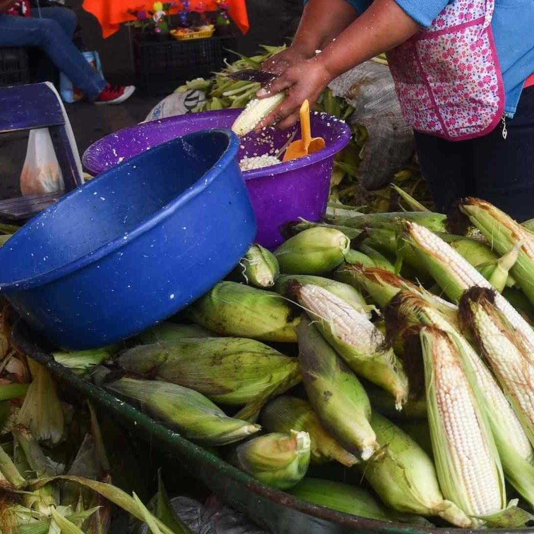 Productores y comerciantes de Tláhuac en la "Semana Cultural del Maiz 2025". Foto: Cuartoscuro