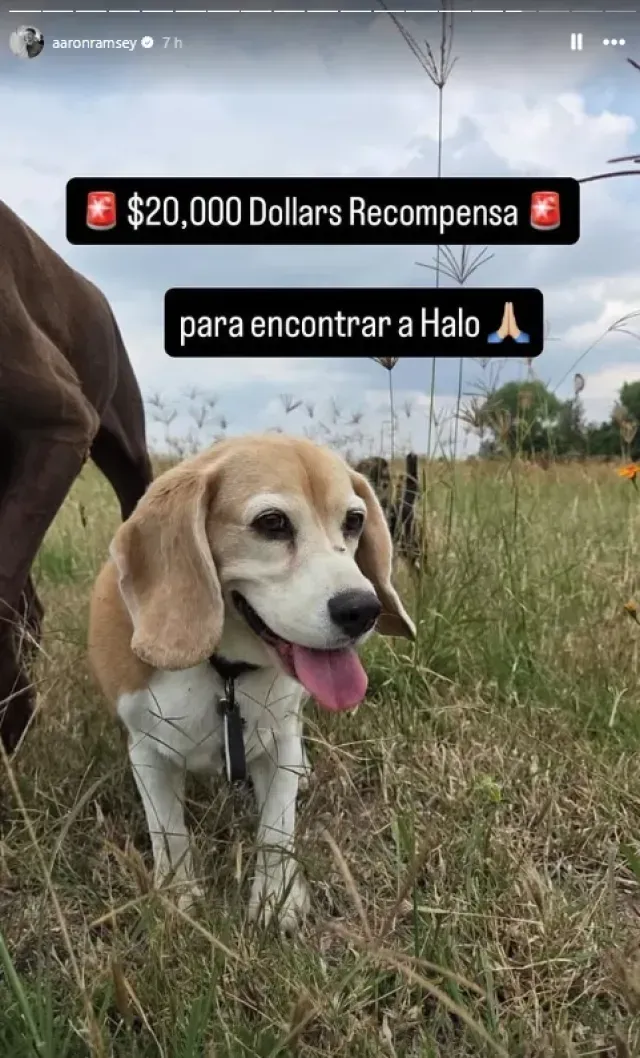 La recompensa de 20,000 dólares que ahora ofrece Aaron Ramsey. Foto: Instagram aaronramsey