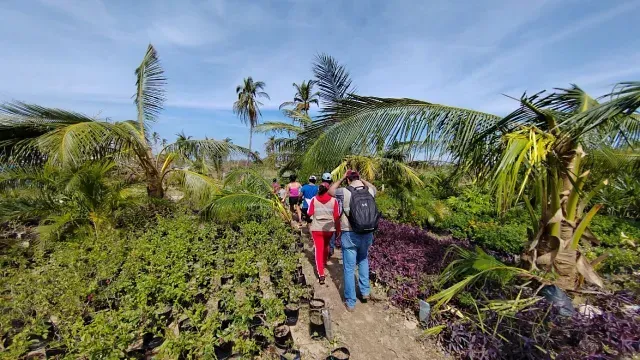 Daños de Otis en cultivos de Guerrero