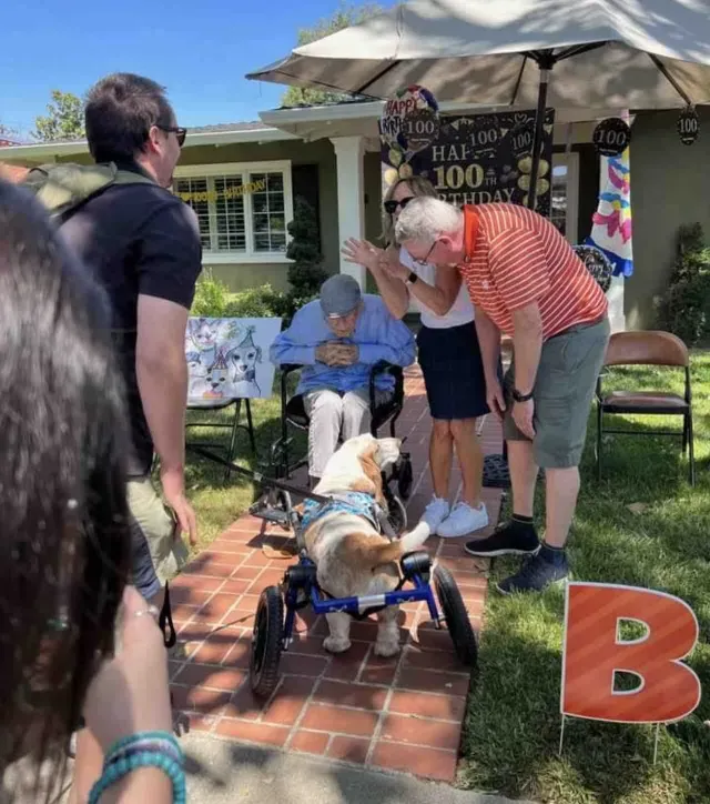 Celebran a abuelito con desfile de perritos