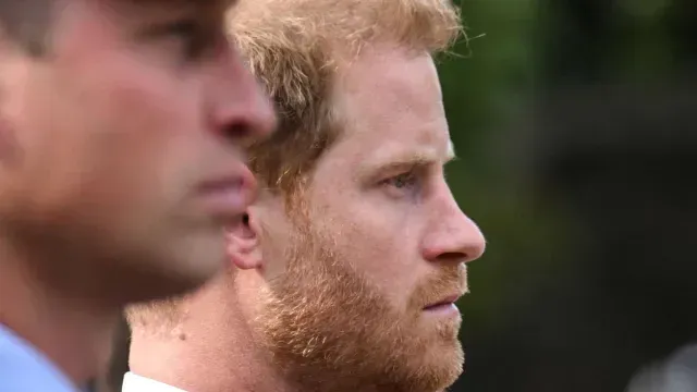 Harry y su hermano, el príncipe William