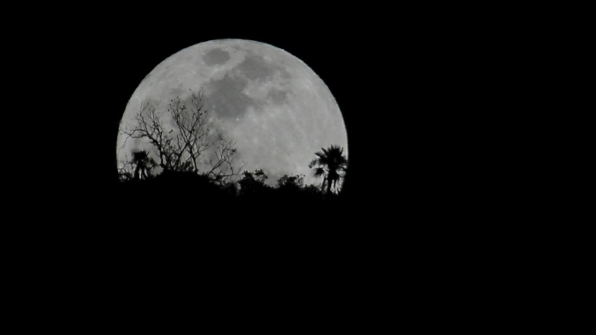 Luna Llena 2026. Cuándo Es la Luna Azul de Mayo