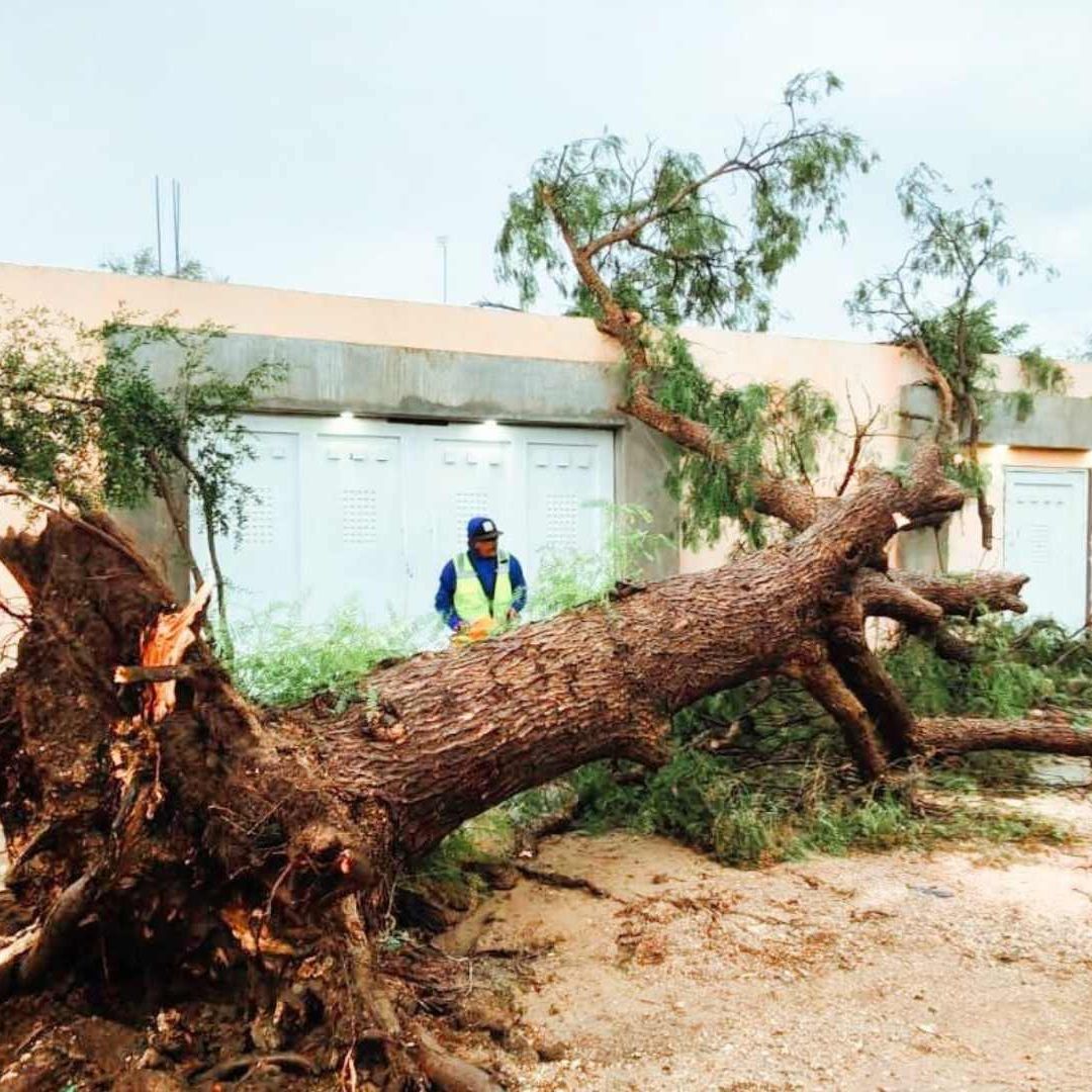 Lluvias y Granizo Dejan Afectaciones en Matehuala