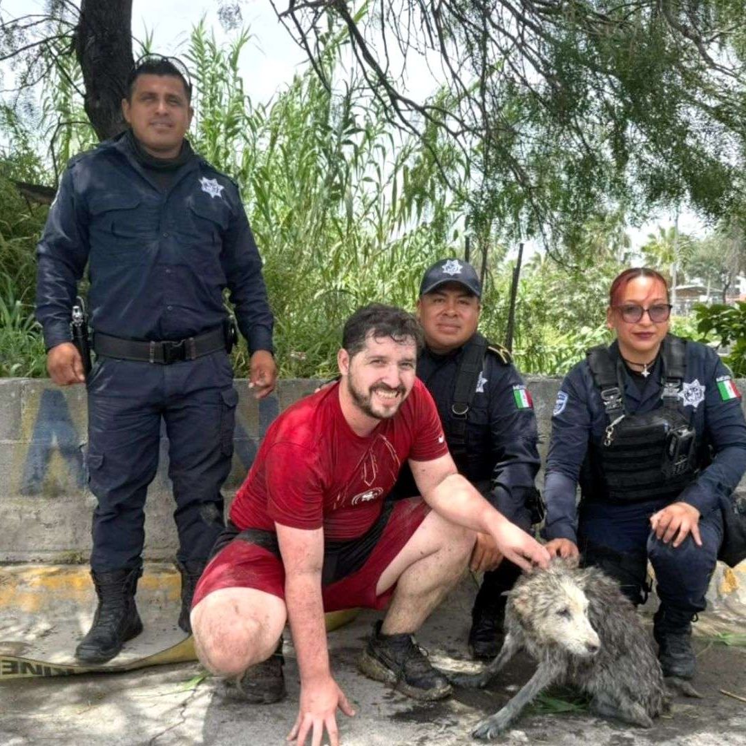 Rescate perrita