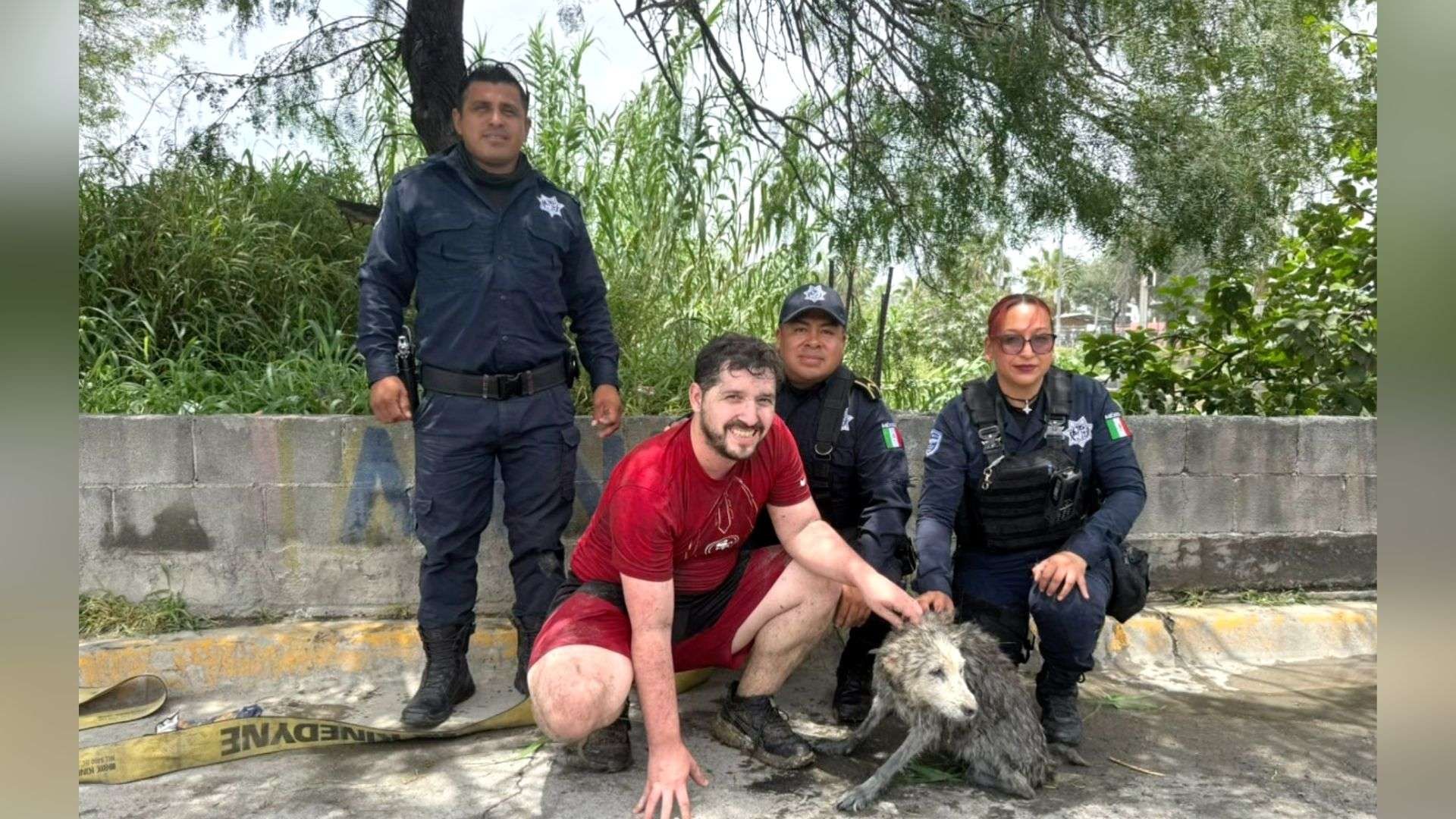 Rescate perrita