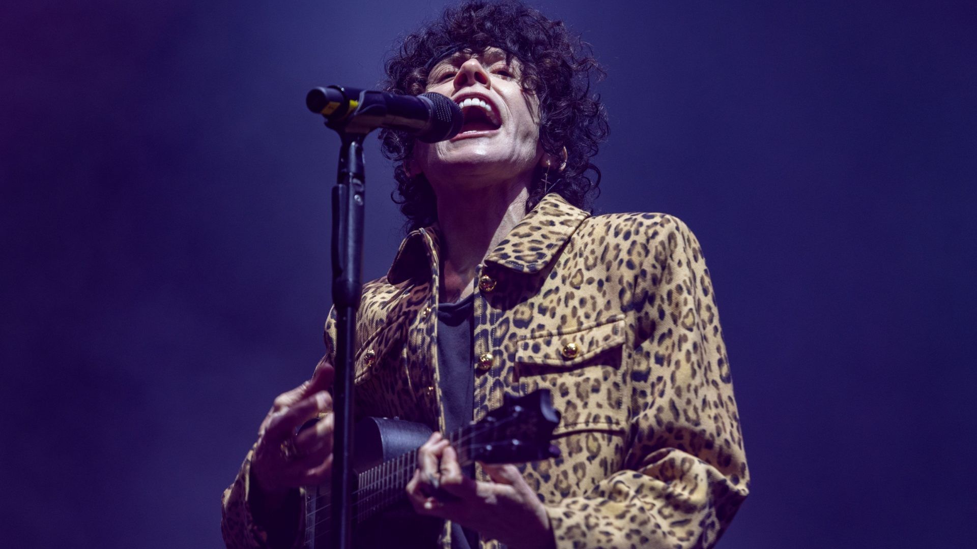 LP en México 2026: ¿Cuándo y Cómo Comprar Boletos para Conciertos en CDMX, Monterrey y Zapopan?