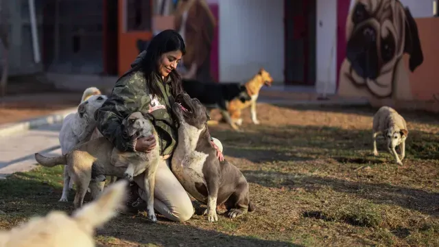 Elizabeth Soto, de Seres Libres, pide que se incluya a los animalistas en el diseño de la ley para regular refugios.