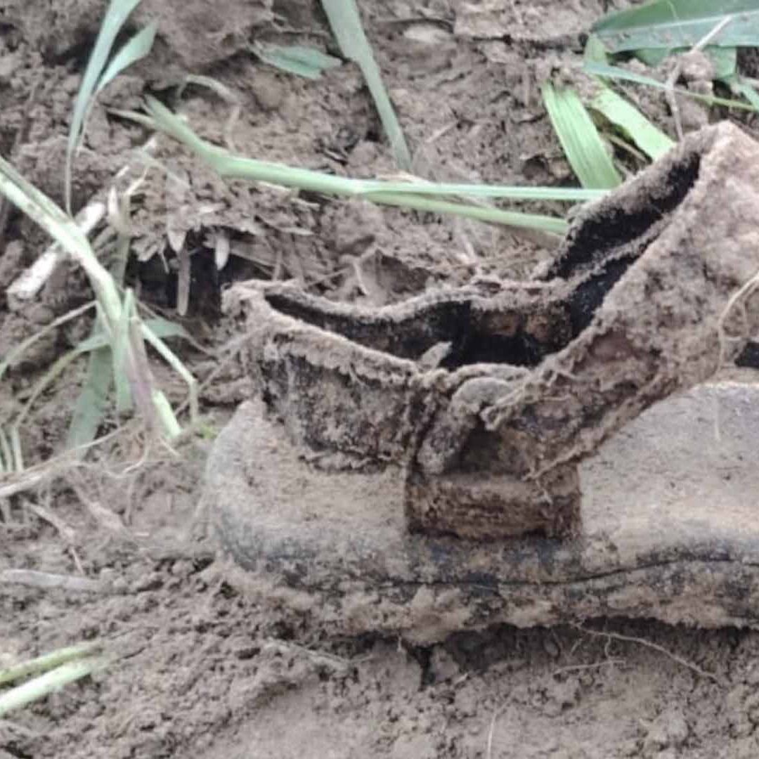Colectivo de Búsqueda Realiza Hallazgo de Restos Óseos en Miguel Alemán, Tamaulipas