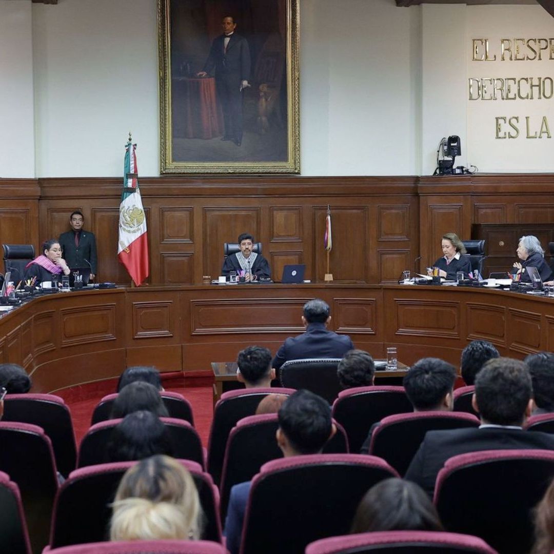 La Corte argumentó que la exclusión de estos insumos vulneraba el interés superior de la niñez.