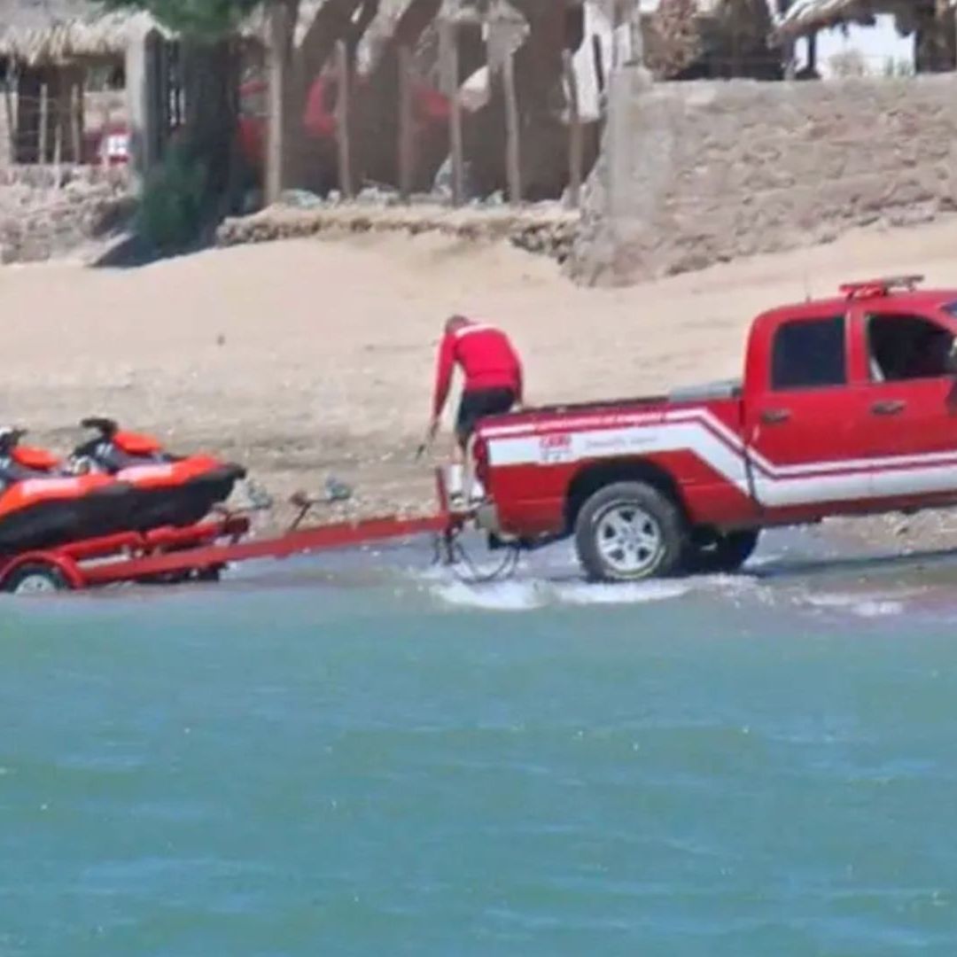 Buzo Resulta Lesionado tras Ataque de Tiburón Cerca de Bahía de Kino
