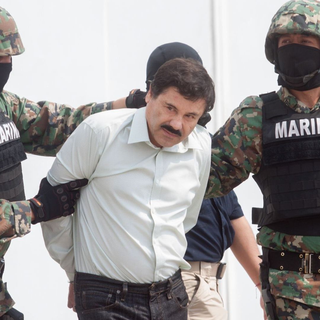 Guzmán agrega que la conclusión de su apelación debería ser motivo para un nuevo juicio.