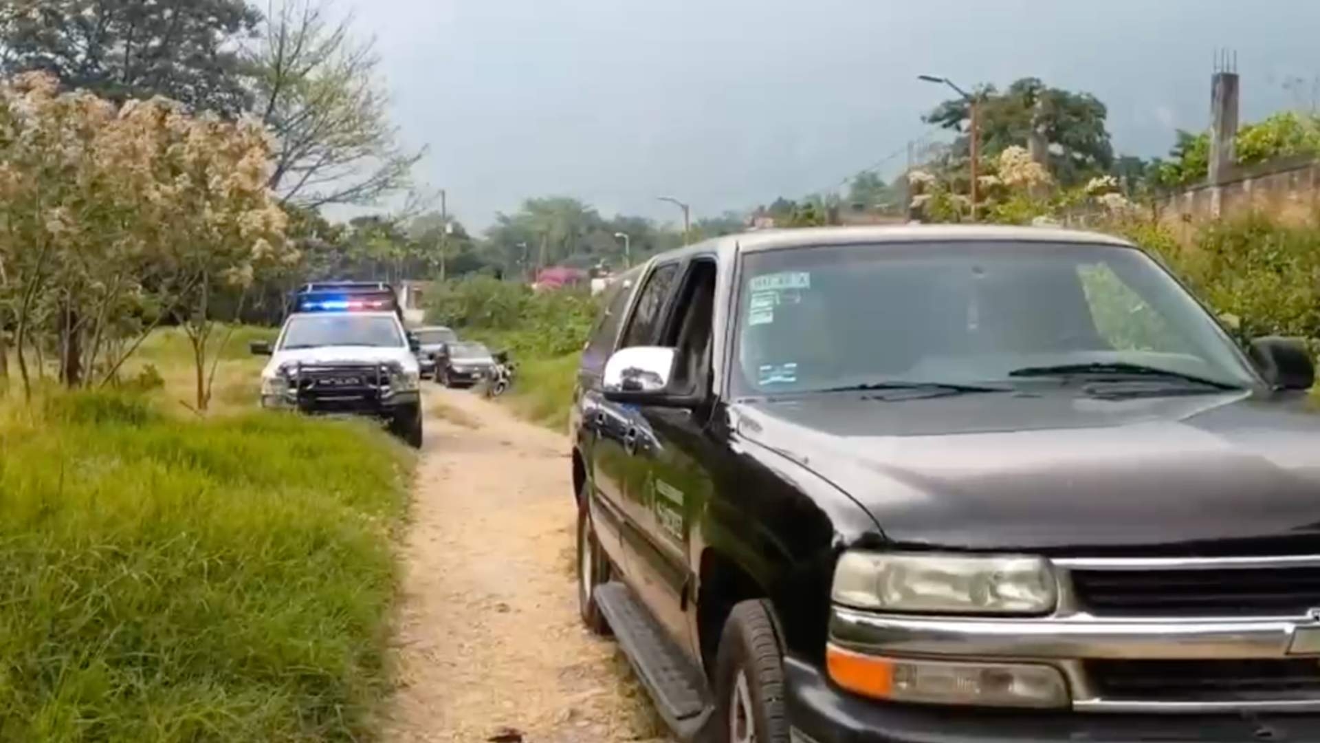 Hombre Muere al Caer de un Árbol en Río Blanco, Veracruz; Subió a ...