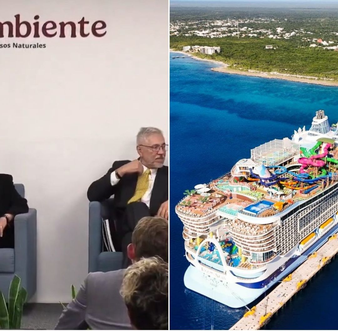 "No se Aprobará "Perfect Day" de Royal Caribbean, en Mahahual": Anuncia Alicia Bárcena
