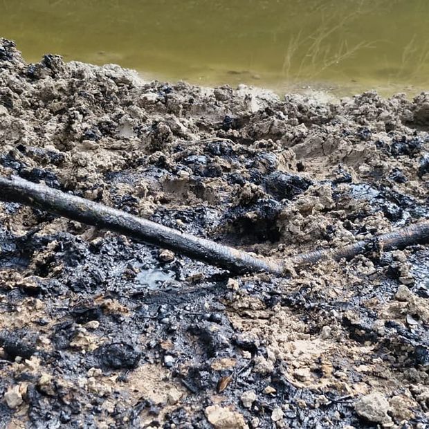 Persisten Restos de Hidrocarburo en Estero tras Derrame en Altamira, Tamaulipas