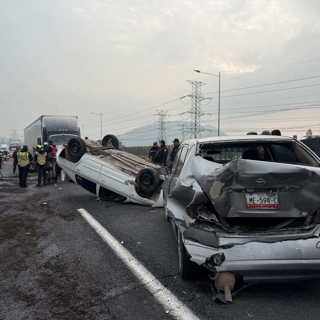 Cae árbol en deportivo 18 de marzo  · Tepeyac insurgentes GAM  | Itzel Cruz Alanis