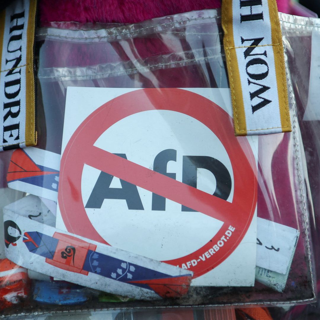 Bolsa donde se ve tachado el logo del partido "AfD".