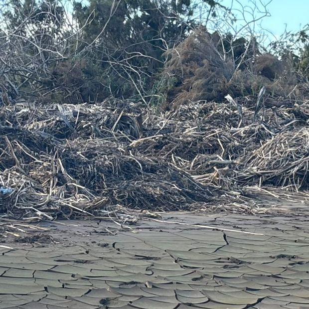 Localizan a Persona Sin Vida en Arroyo de Estero de Punta Banda en Ensenada, BC