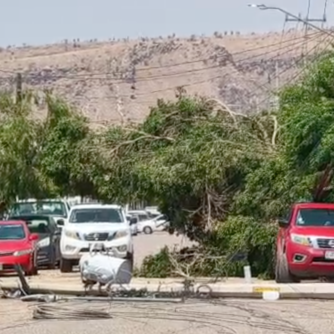 Afectaciones tras Tormenta de Arena y Lluvias Registradas en Hermosillo, Sonora