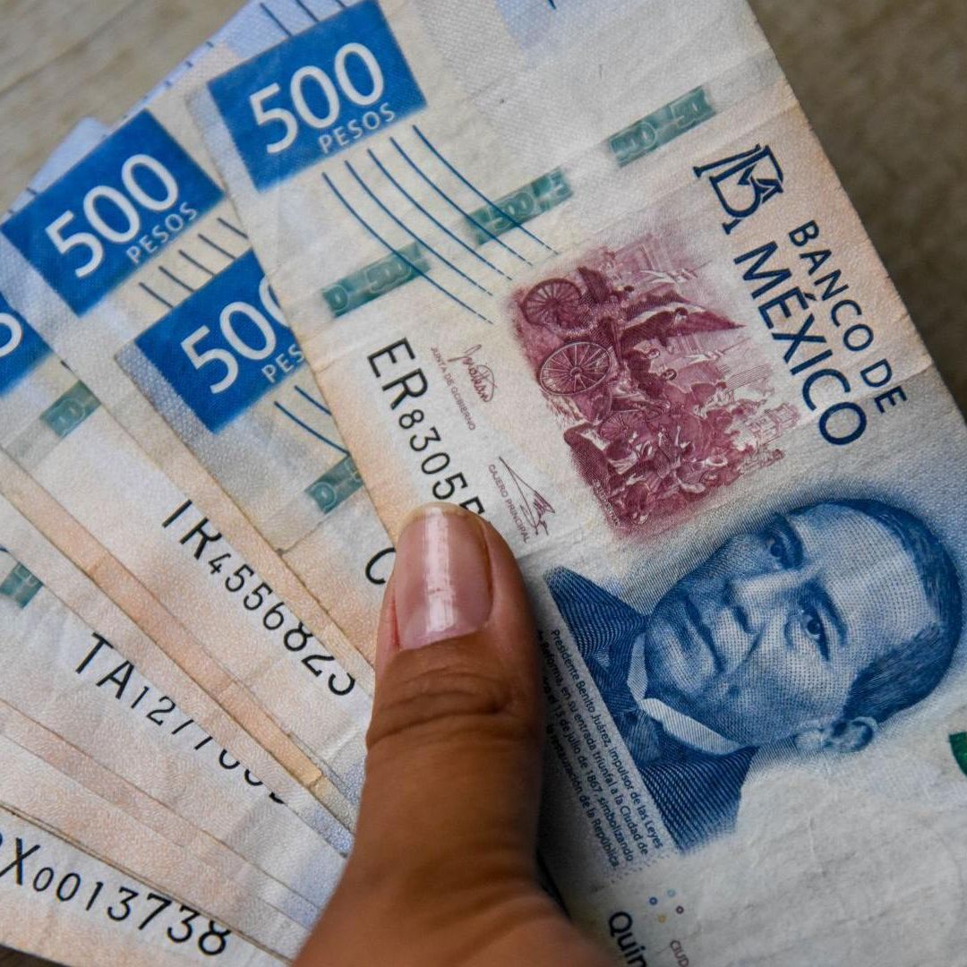 Mano sostiene fajo de billetes de 500 pesos. Qué familia de billetes de 500 salen de circulación.
