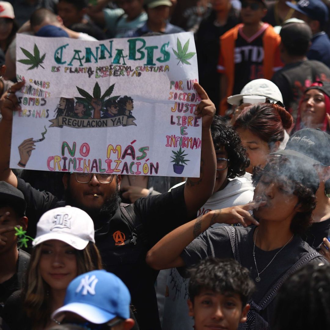 Cofepris Acata Resolución de la Corte Sobre Autoconsumo Lúdico de Cannabis, En Esto Consiste