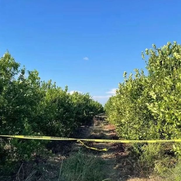 Colectivos de Búsqueda Localizan Restos Óseos y el Cuerpo de una Mujer en Sonora