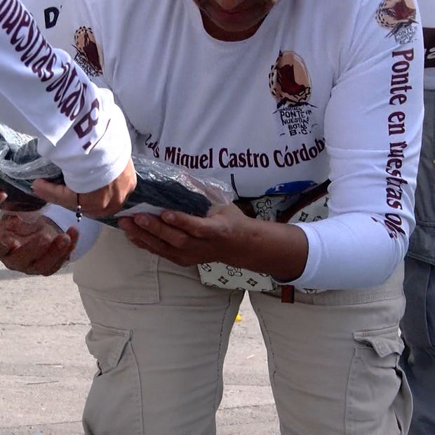 Madres Buscadoras Piden Ayuda para Jornadas de Búsqueda en Baja California