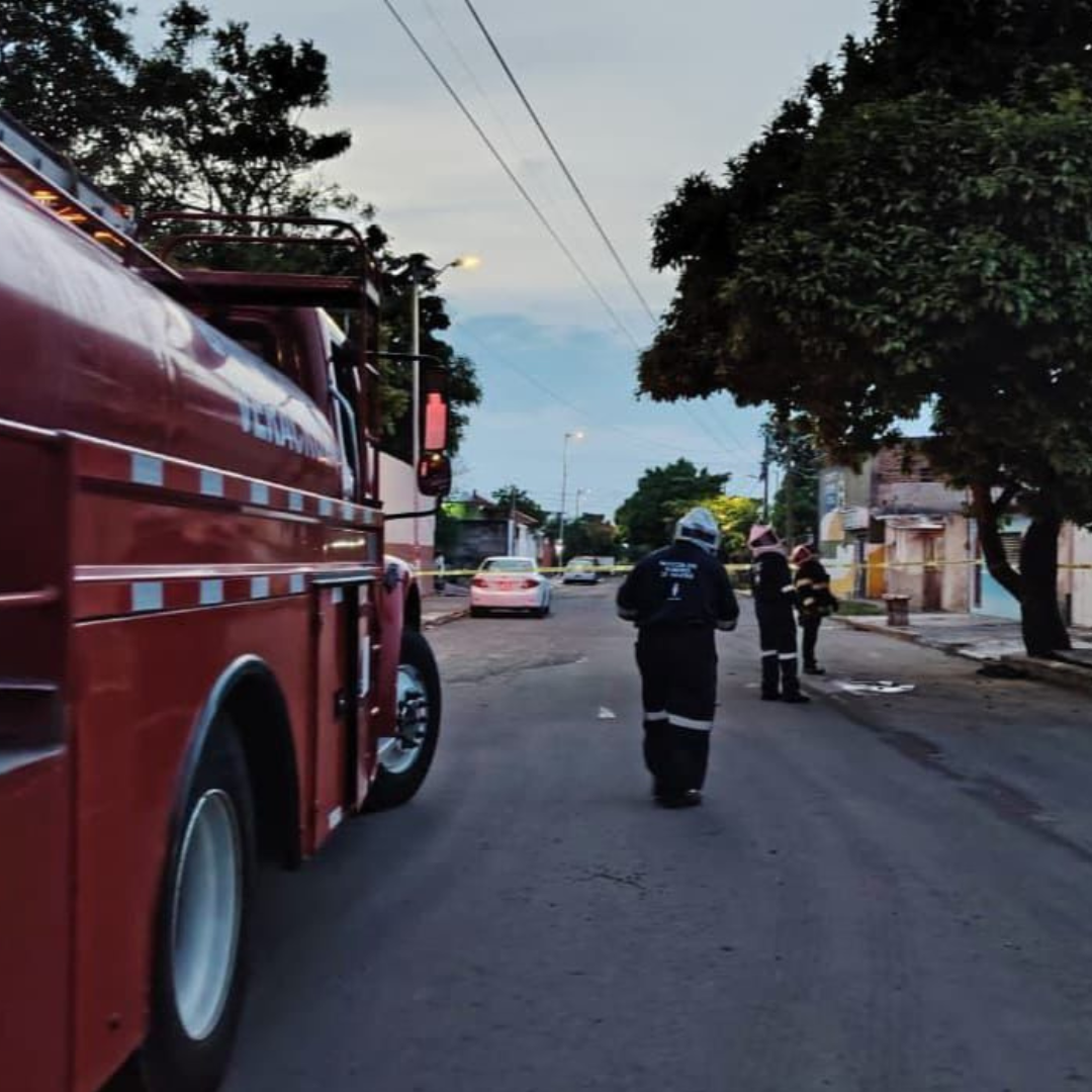 Hombre es Atacado por Abejas en Veracruz; Buscan Contactar a sus Familiares