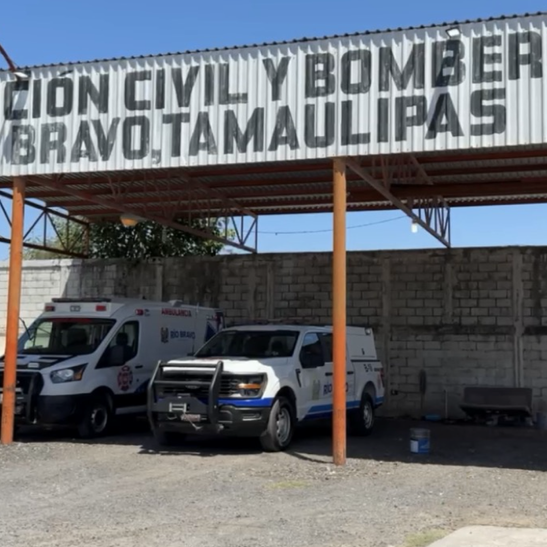 Enjambre de Abejas Ataca a Familia en Río Bravo; Dos Menores Resultan Afectados