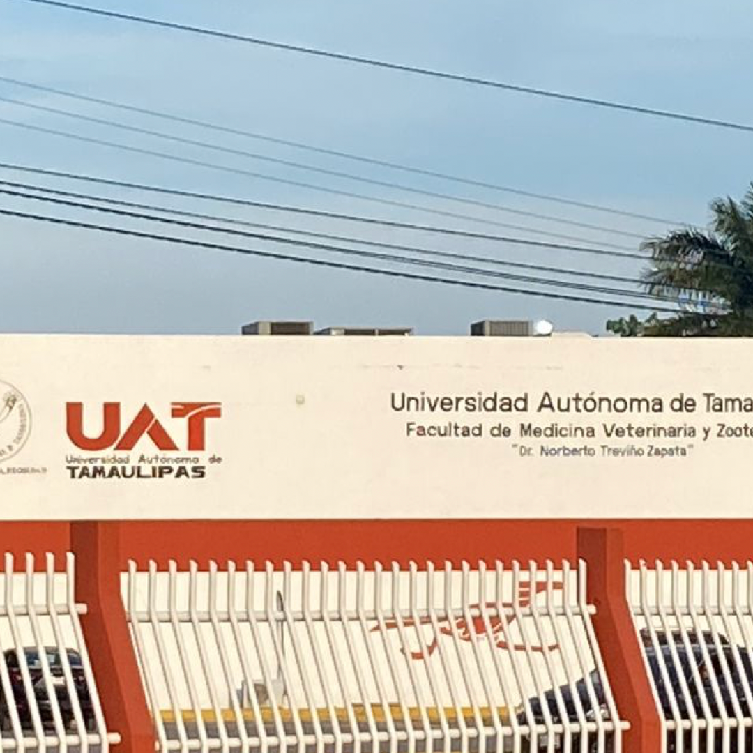 Confirma UAT Baja de Alumno Afectado por Presunta Novatada en Tamaulipas