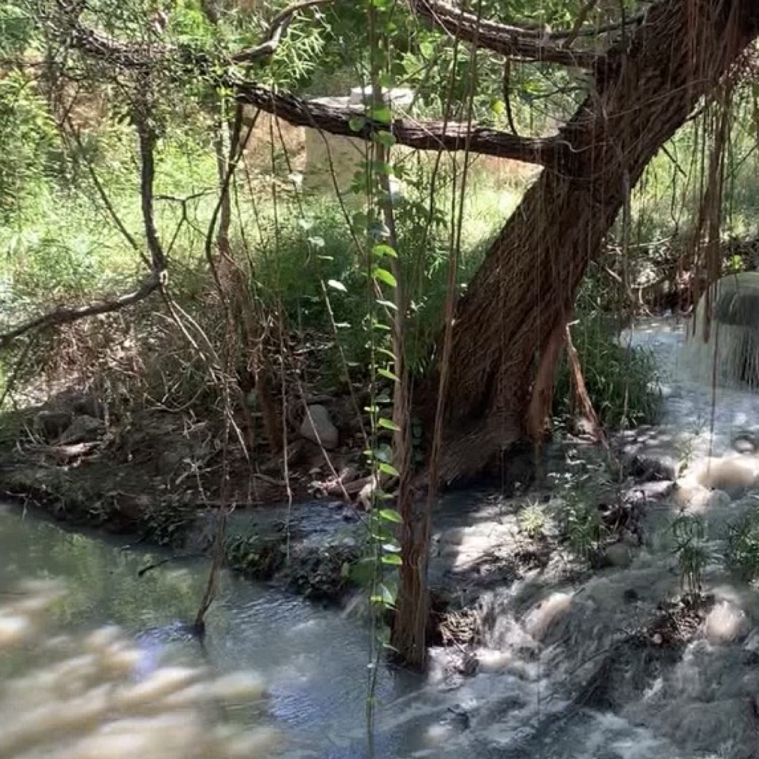 Fuga de Aguas Negras Afecta al Río San Marcos en Ciudad Victoria
