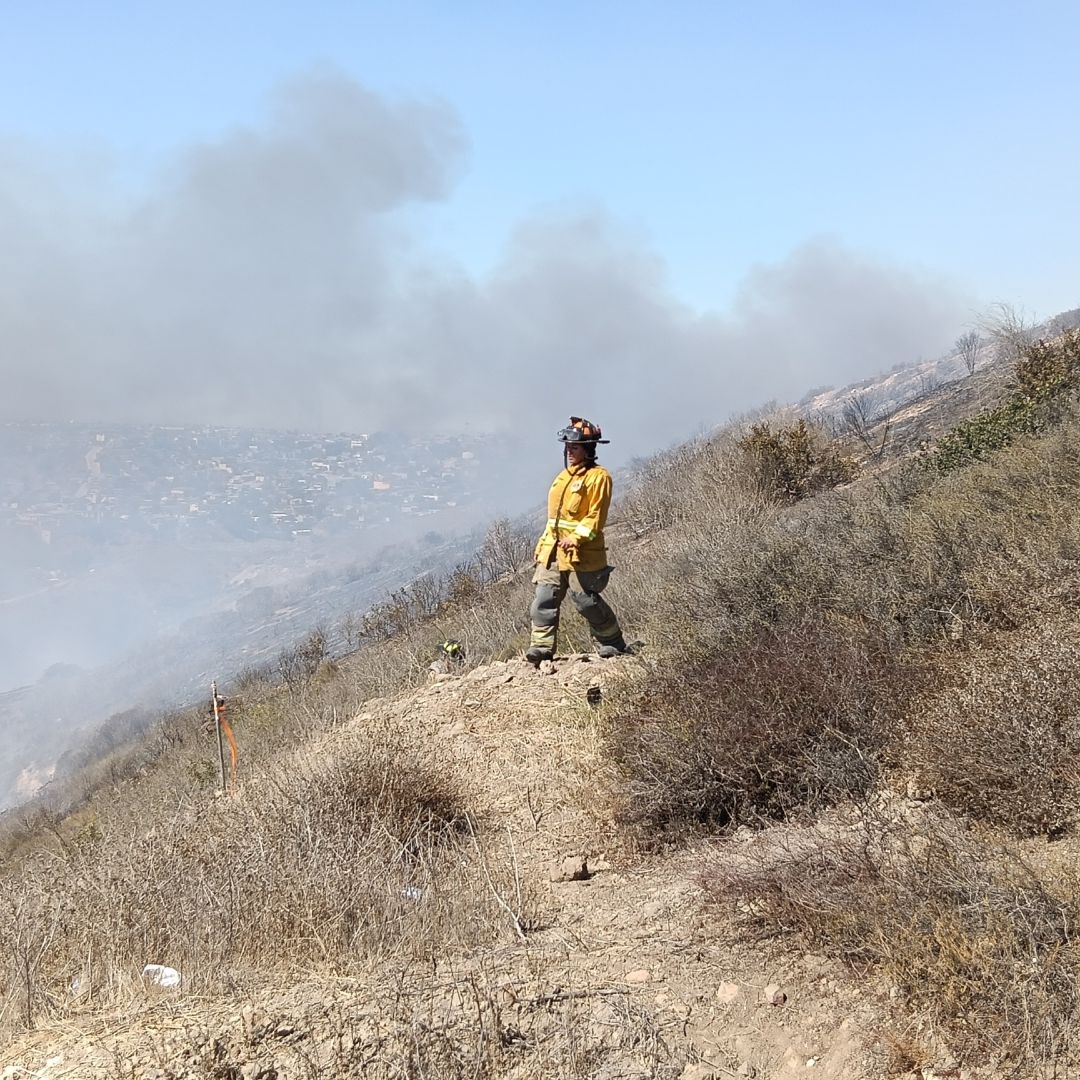 Fuerte Incendio Consume Pastizal en Colonia Francisco Zarco en Tijuana, BC