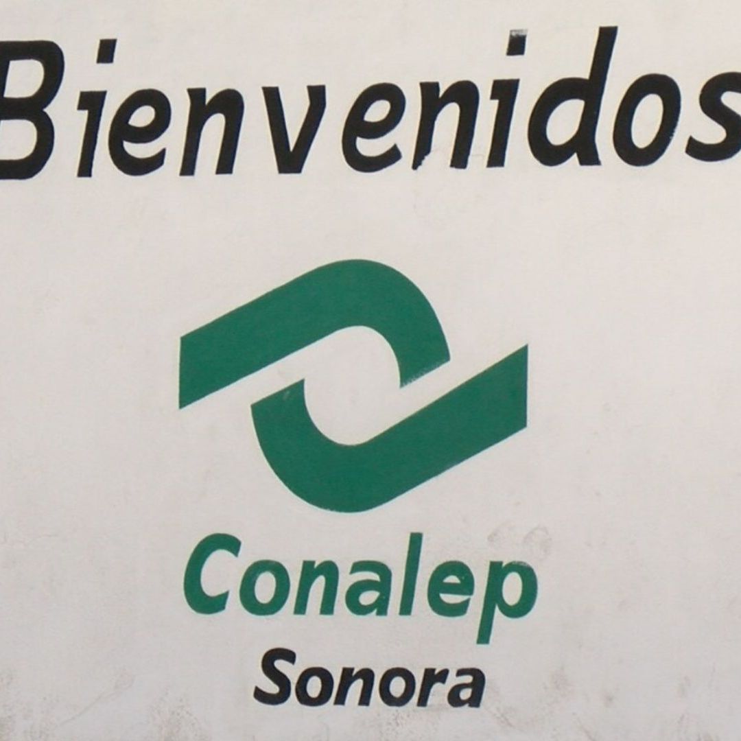 Incripciones Abiertas para Conalep en Sonora 2026: Fechas y Requisitos de Nuevo Ingreso