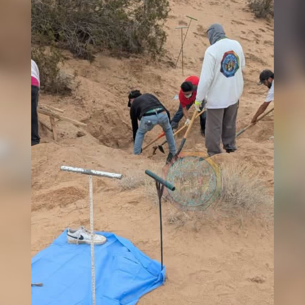Colectivo de Búsqueda Encuentra a Mujer Sin Vida en San Luis Río Colorado, Sonora