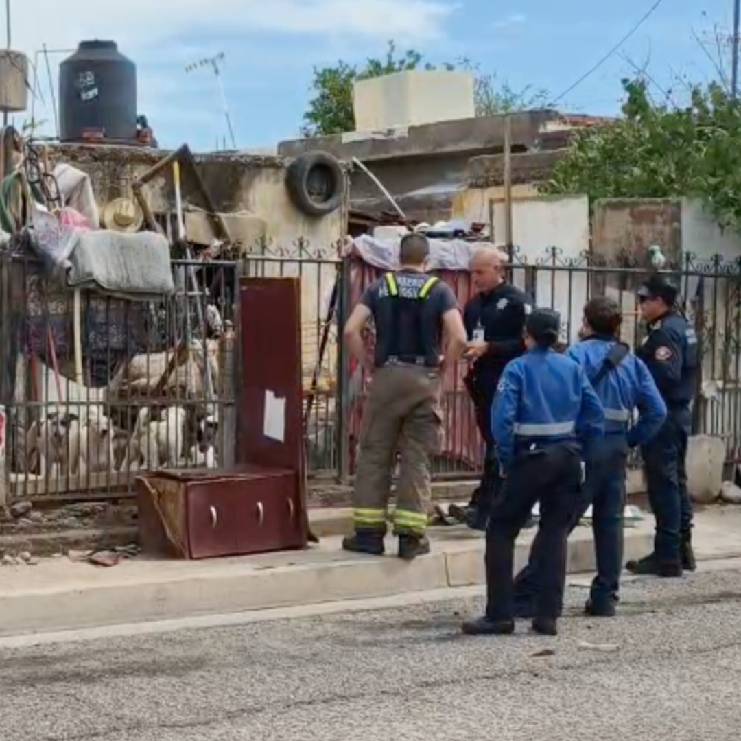 Localizan a Hombre Sin Vida en Domicilio de Hermosillo; Rescataba Perros en Situación de Calle