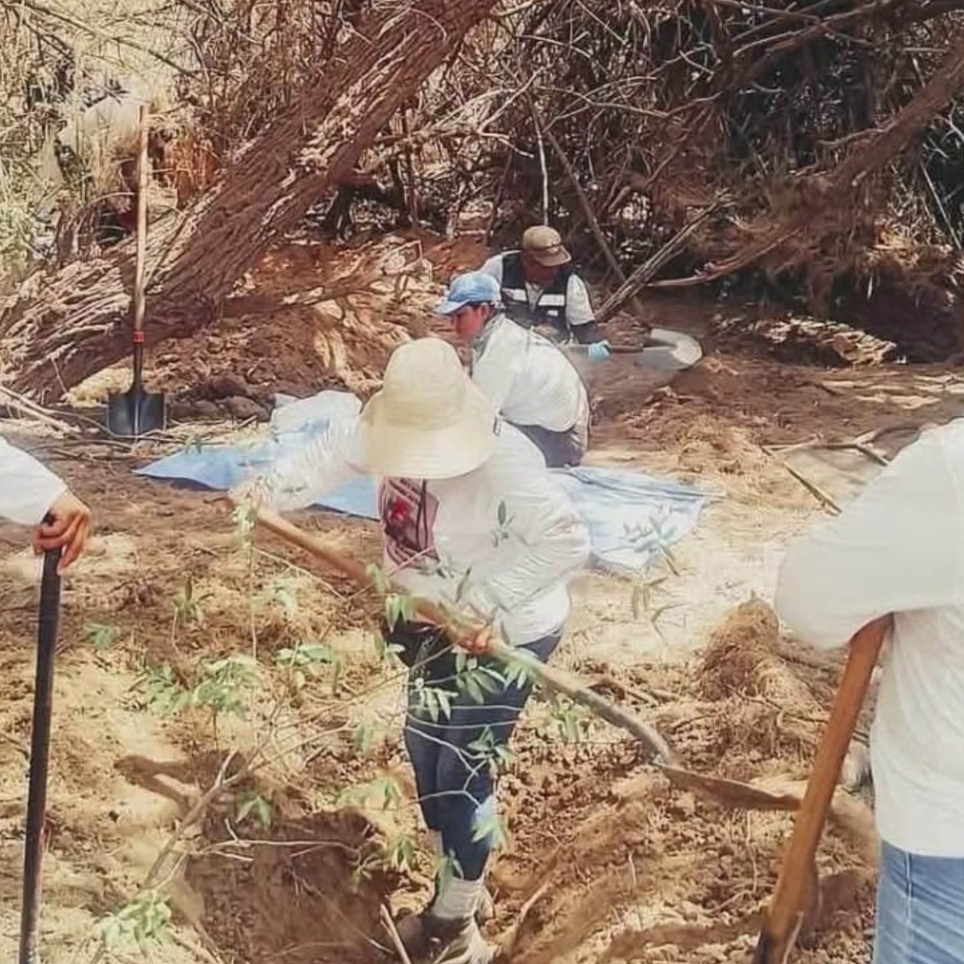 Integrante de Colectivo de Búsqueda Localizó Restos de Hijo Desaparecido Hace 4 Años en Cajeme