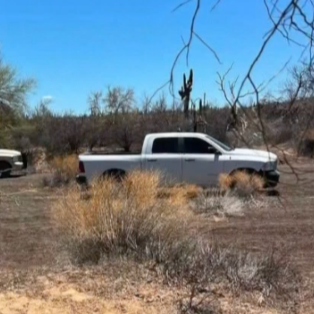 Colectivos de Búsqueda Localizan Restos Óseos de 3 Personas Cerca de Puerto Peñasco, Sonora