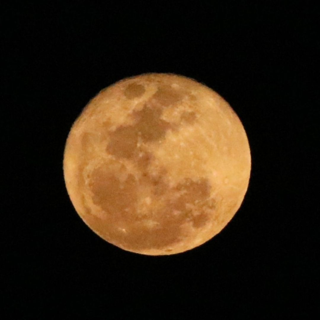 Luna Llena en el cielo nocturno. Por qué le dicen Luna de Esturión a la Luna de agosto y cuándo será.