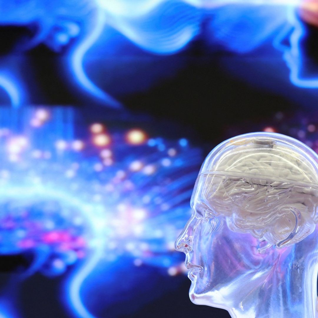 Representación del Cerebro Humano. Cuántas Neuronas Tiene el Cerebro de un Humano y Cuántas Mueren en un Día